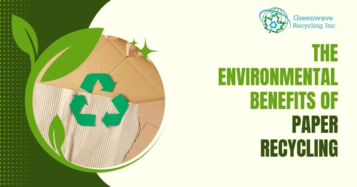 The Environmental Benefits of Paper Recycling