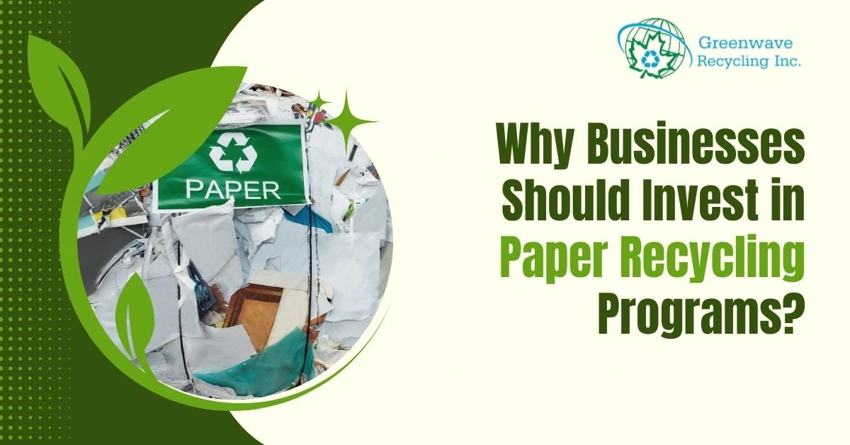 Why Businesses Should Invest in Paper Recycling Programs?