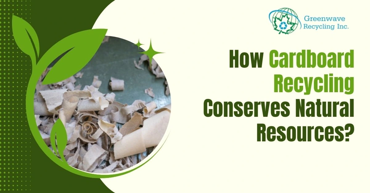 How Cardboard Recycling Conserves Natural Resources?