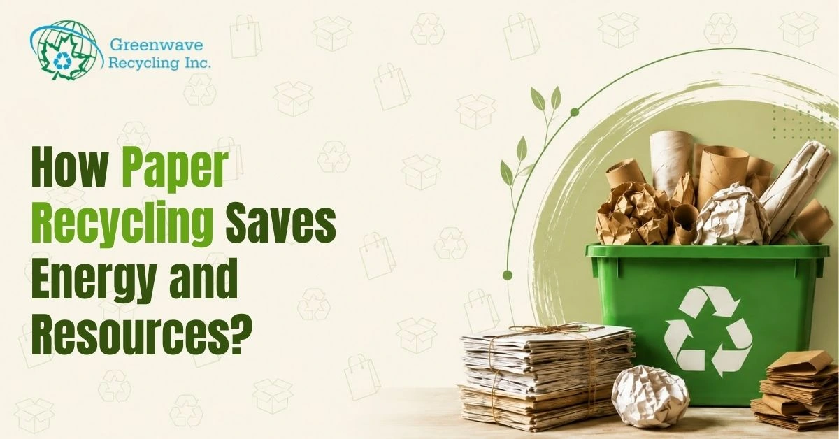 How Paper Recycling Saves Energy and Resources?