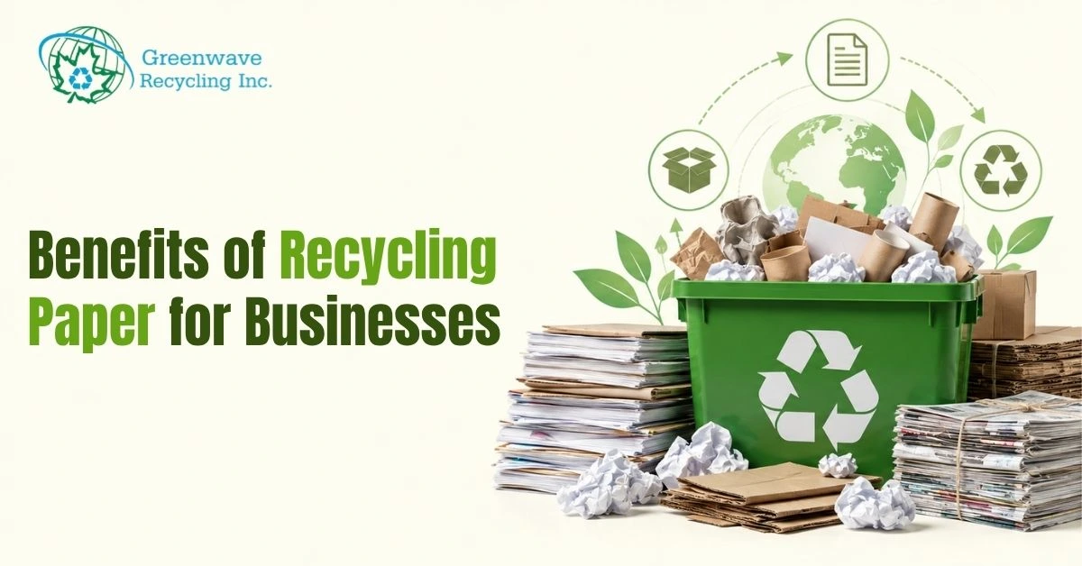 Benefits of Recycling Paper for Businesses